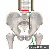 ChiroActive Therapy and Massage